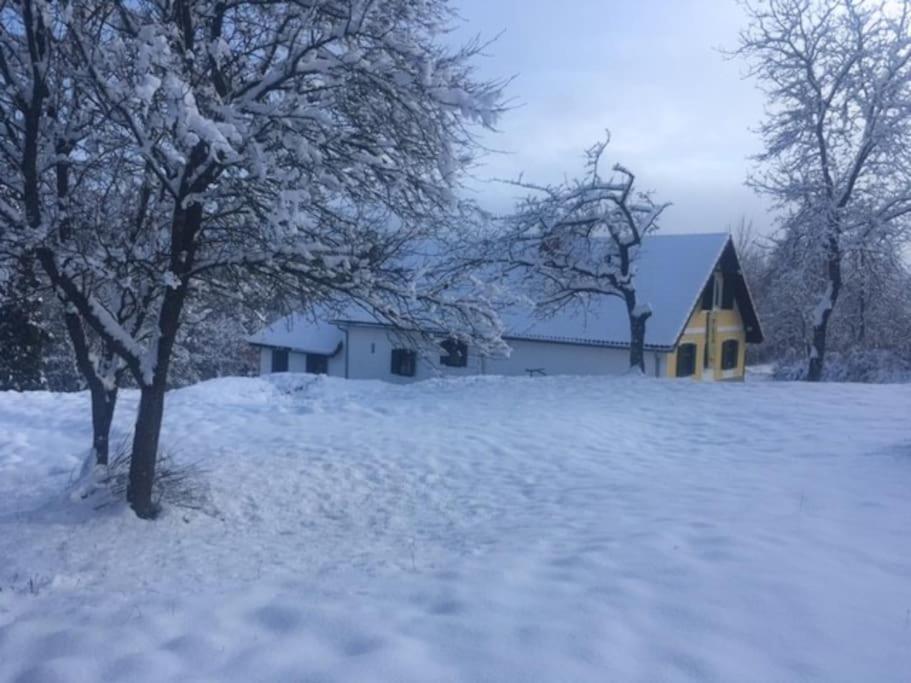 Stilvolles Landhaus Im Dreilaendereck Felsőszölnök Zewnętrze zdjęcie